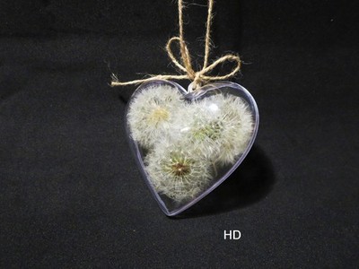 Dandelions decor dried flower heart shape Dandelions decor, Dandelionin a jar