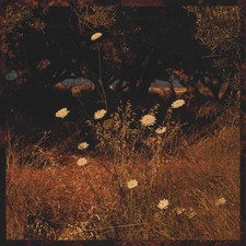 Szun Waves - Earth Patterns (Brown Smoke) by Szun Waves