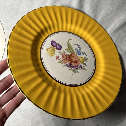 Wade Royal Victoria Pottery 2 X Floral Design Dinner Plates (Blue and Yellow) - Picture 7 of 10