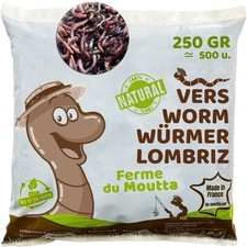 Live Eisenia compost worms, 3-species mix for your wormery