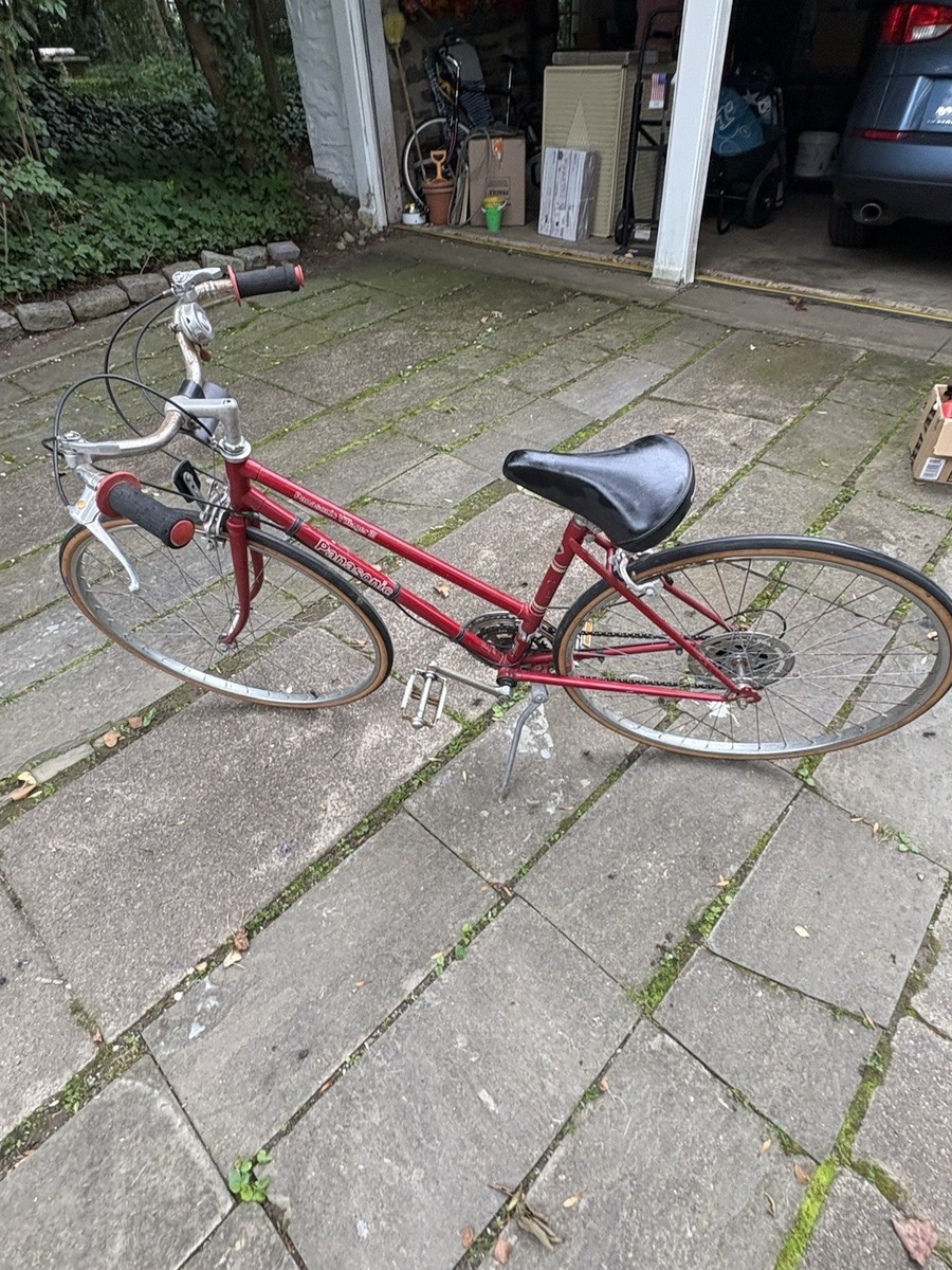 Panasonic  WiLL BIKE (美品) rn-