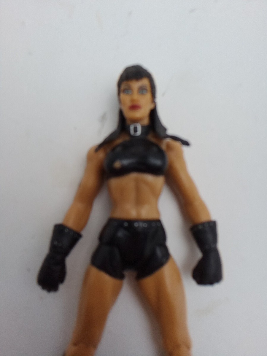 WWE CHYNA WRESTLING FIGURE JAKKS PACIFIC TTL DIVAS DX CLASSIC