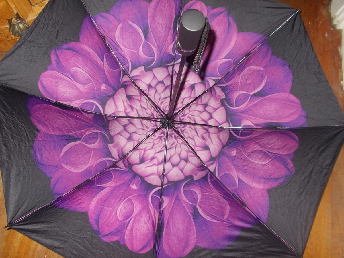 Best compact cheap inverted umbrella