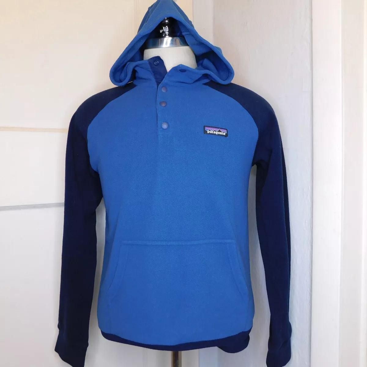 Patagonia micro d hoody top