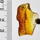 Bild 3 von 9
