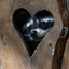 Raccoon Riches