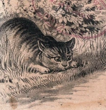 1880s A.S.T. Co. Black Tip Shoes John E. Brown Ithaca Hen Chicks & Cat F148