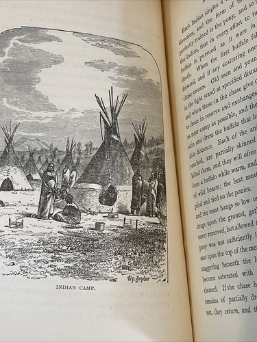 J.H. BATTY How to Hunt and Trap 1884 Illustrated Sportsman Camping Wild Game - Picture 8 of 8