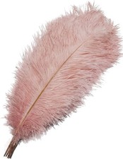 Plumas De Avestruz Naturales 10 Piezas De 16 Y 18 Pulgadas Para Centros NEW US.