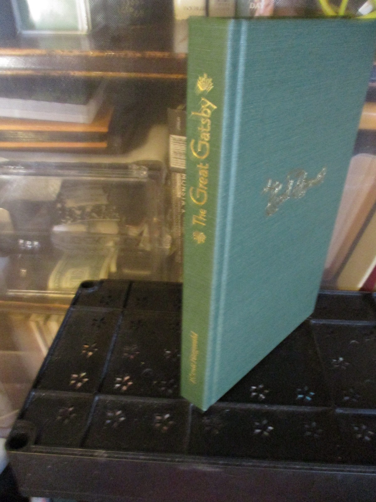 Picture 6 of 12