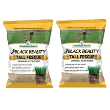 Jonathan Green Black Beauty Tall Fescue Grass Seed Blend, 25lb (Pack of 2)