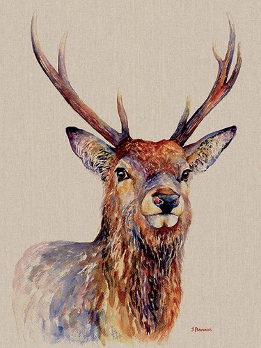 Jane Bannon Canvas Art Prints Range Of Animal Pictures 108 Different Options - Picture 92 of 120