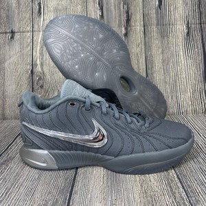 Lebron 21 Cool Grey | eBay