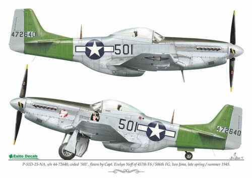 EXITO DECALCOMANIE ED48011 - 1:48 Pacific Warriors vol.1 - P-40 - P-51 - Foto 4 di 8