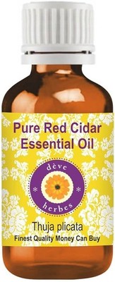 Red Cedar Essential Oil (Thuja plicata) 100% Pure Natural Aromatherapy Oil