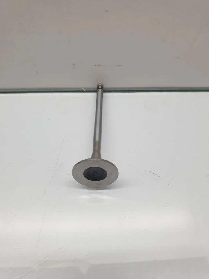 8 件排气阀 111009 TRW V94403 11341707519 适用于宝马 Coupe X1 X3 X5 Z4 N40 B16 — 第 3/4 张图片