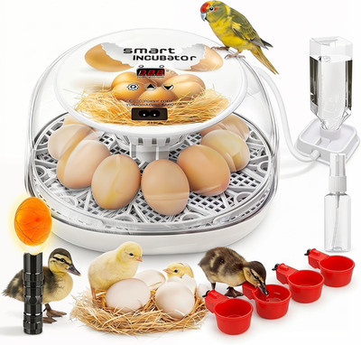 Incubators for Hatching Eggs - 12 Egg Capacity, Egg Incubator with Automatic