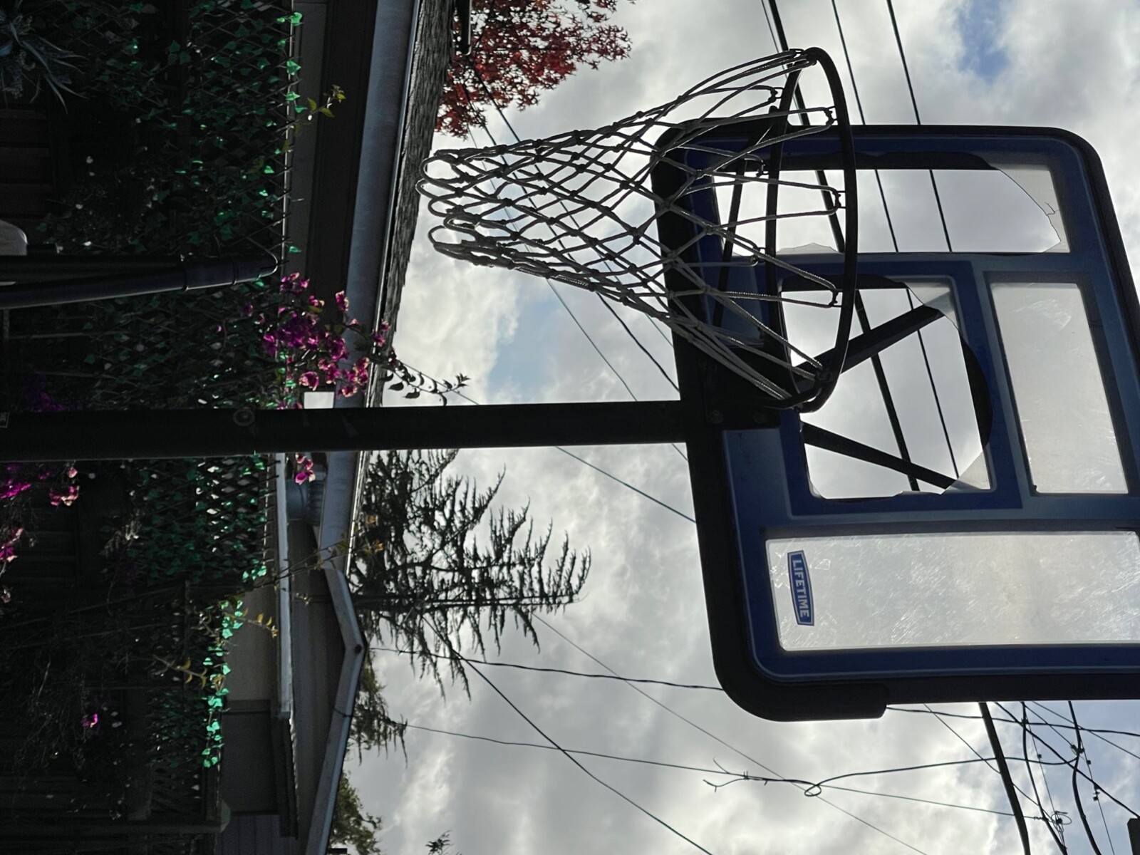 basketball hoop eBay