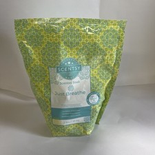 Scentsy Soak Just Breathe Eucalyptus Lemon Mint Epsom Pink Himalayan Bath Salts