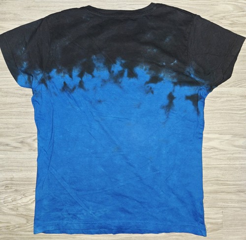 LIQUID BLUE CHICAGO CUBS WOLD SERIES CHAMPIONS 2016 YOUTH GR. L TSHIRT NEU UNGETRAGEN - Bild 4 von 4