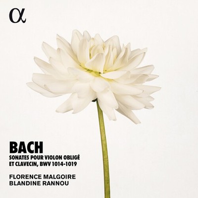 Bach,J.S. / Rannou / - Sonates Violon Oblige [New CD] 2 Pack