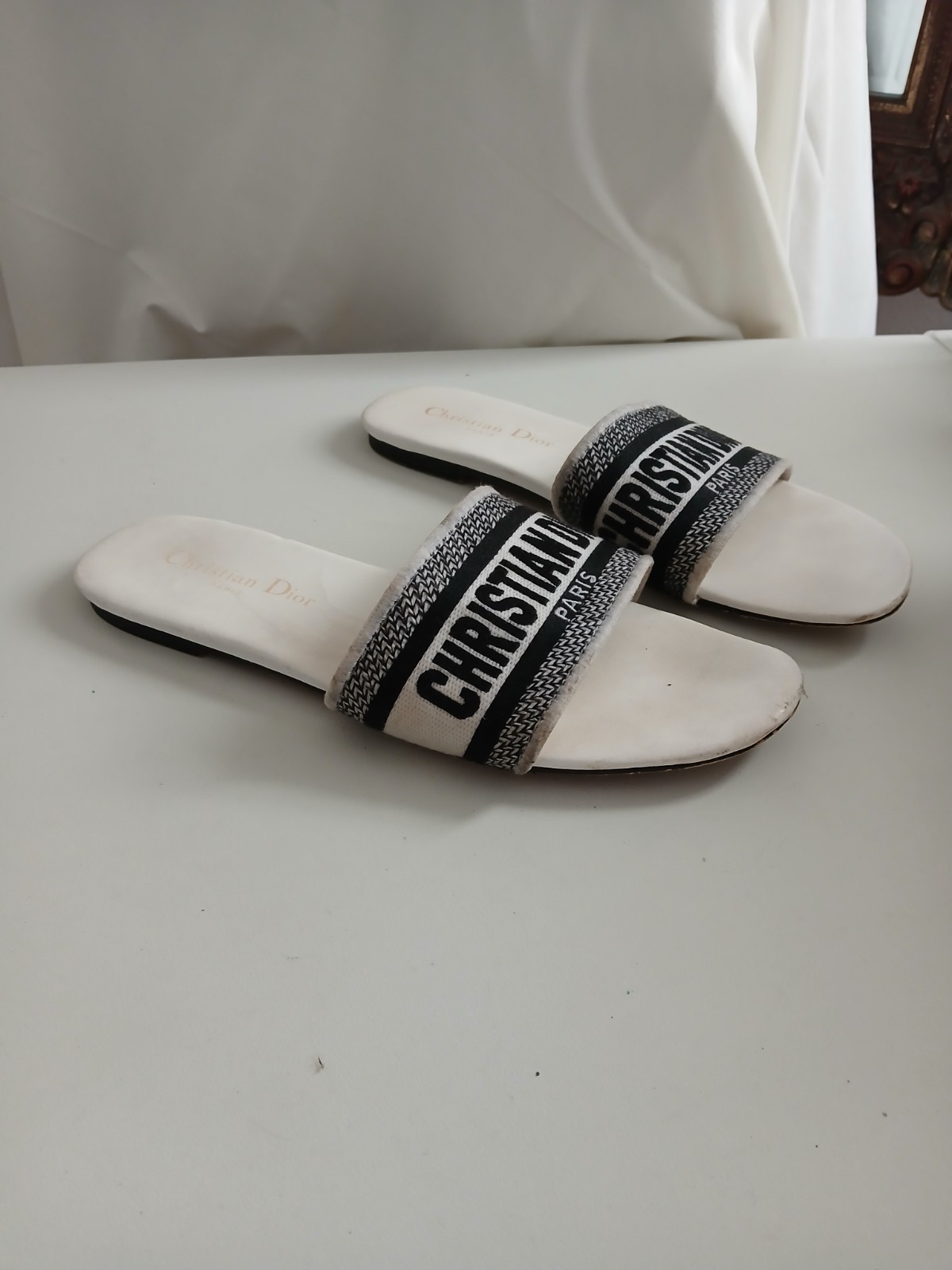 Dior Women's Size EU 41 US 8 Dway Slide Embroidered Cotton image 4