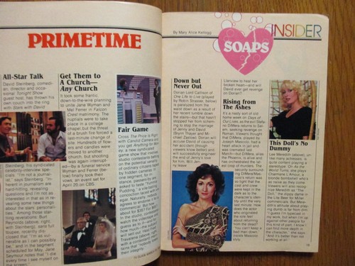 1984 TV Guide(TERI COPLEY/FARRAH FAWCETT/LAURA JOHNSON/LIZ SAGAL/ROBERT FOXWORTH - 第 8/11 張圖片