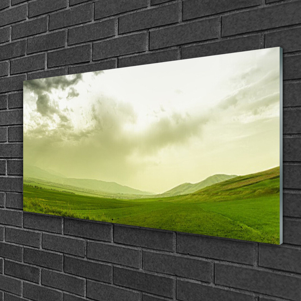 Tableau sur verre 100x50 prairie sauvage pour agrandir une pièce