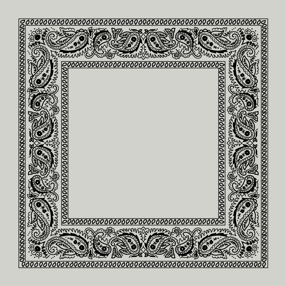 paisley bandana border