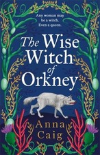The Wise Witch of Orkney by Anna Caig Hardback
