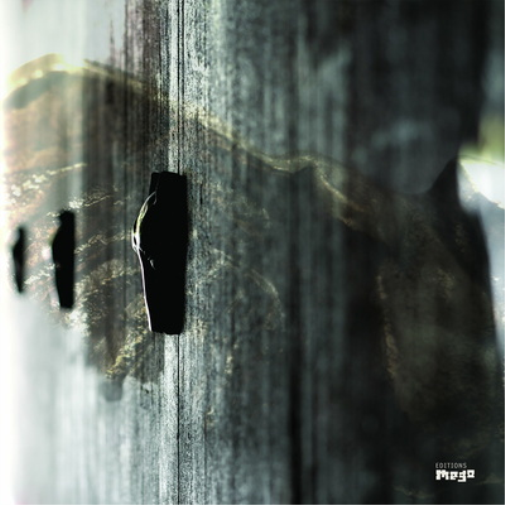 Rivet On Feather and Wire (Vinyl LP) 12" Album