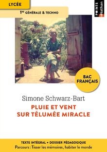 Pluie et vent sur Télumée Miracle - Edition pédagog... | Buch | Zustand sehr gut