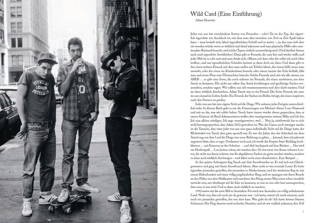 Thumbnail - Beastie Boys Buch | Horovitz, Adam | Diamond, Michael