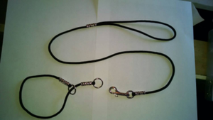 paracord dog slip collar