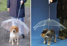 Transparent Dog Umbrella with Leash  28" Diameter and Handle Length of 26" 