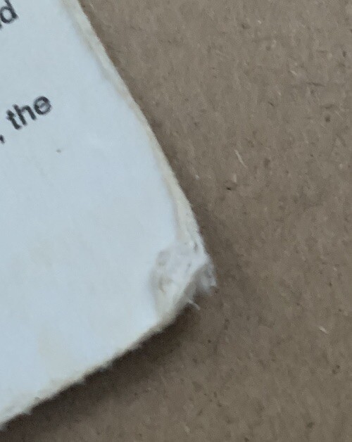 Dale Earnhardt’s Scheduled 600th Consecutive Career Start Ticket Stub