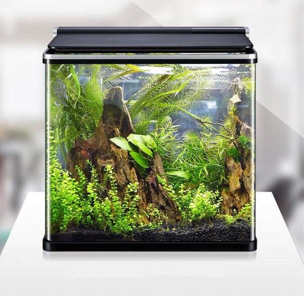 aquael fish tank
