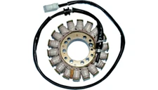 Rick's Electric Magneto Stator Triumph Sprint, Tiger 1050, Speed Triple