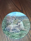 SL 9528/ Reindeer Young Plate Made in England bradford exchange collector plates — photo 1