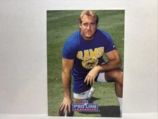 1991 Pro Line Portraits - Kevin Greene #269 National Convention Embossing