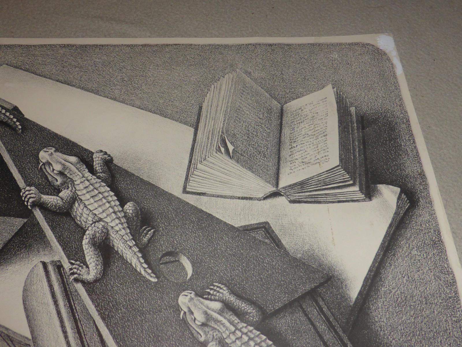 Picture 6 of 9