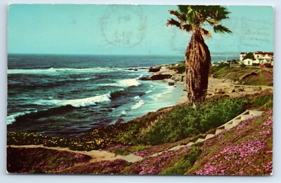 Along Shore at Beautiful La Jolla California c1960s Postcard