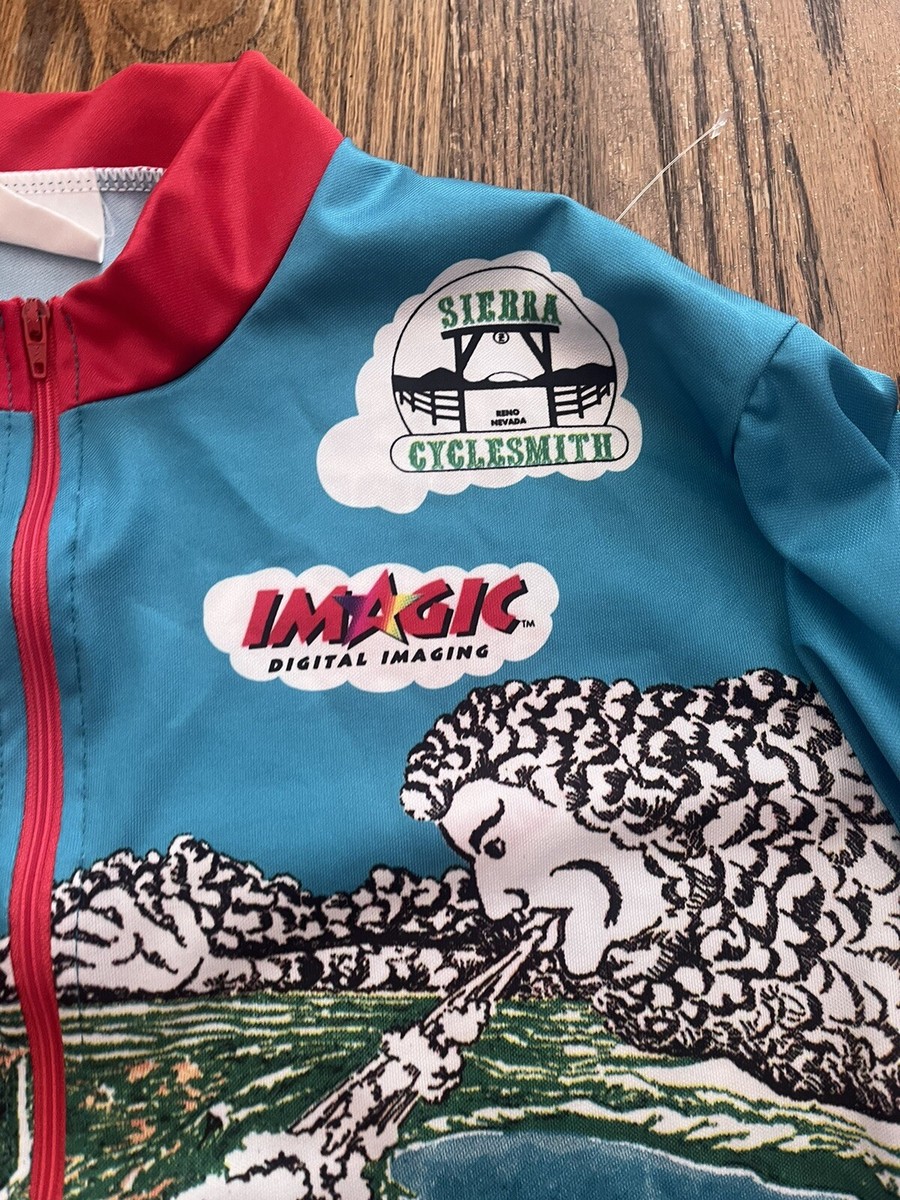 90s ヴィンテージ sugoi  サイクルジャージ Vintage Reno Nevada 90s SUGOI MEN'S 1/4 ZIP BIKE JERSEY Adult L