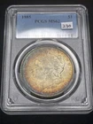 Toned Morgan Dollar