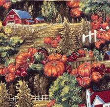 Cranston Fall Harvest Pumpkin Farm Cotton Quilting Fabric 1/2Y 6