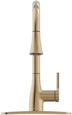 FLOW FLOWClassic-CMP Classic Pull-Down Sprayer Kitchen Faucet in Champagne Gold