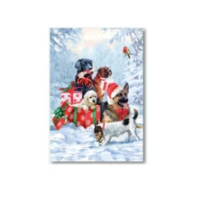 Dogs and Gifts in Snow Boxed Christmas Cards  (Pack of 10) Pets Animals