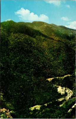 LOOP-OVER from CHIMNEY TOPS Newfound Gap Highway birds eye view TN Postcard