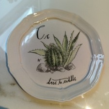 ANTHROPOLOGIE Linea Carta Diva Pyari plate ~Alphabet C-Dare to Cuddle CACTI 6.5”