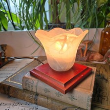 Vintage table lamp shelf library wood & glass lily Tiffan shade bohemian cottage
